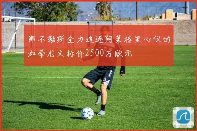 那不勒斯全力追逐阿莱格里心仪的加蒂尤文标价2500万欧元