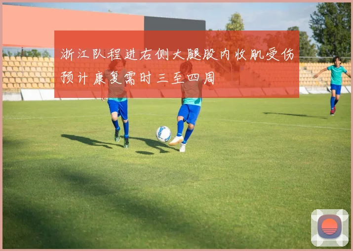 浙江队程进右侧大腿股内收肌受伤预计康复需时三至四周